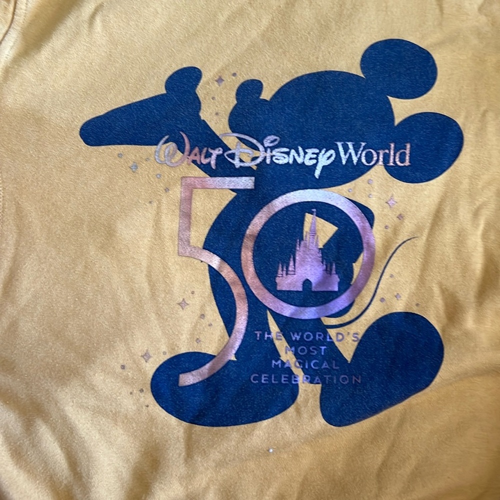 Disney World 50th anniversary hoodie ,xs